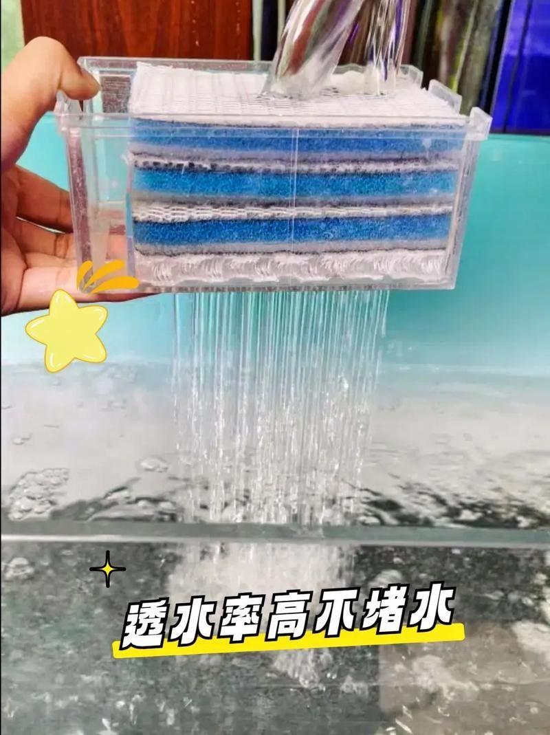 金龍魚魚缸需要哪些配件？