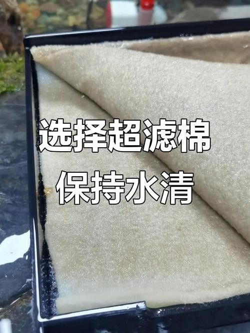 金龍魚魚缸需要哪些配件？