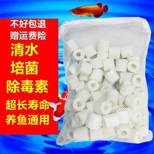金龍魚魚缸需要哪些配件？
