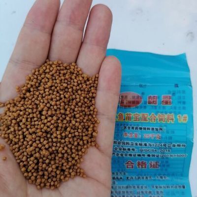 細(xì)線銀板魚苗飼料配比指南：細(xì)線銀板魚苗的飼料配方