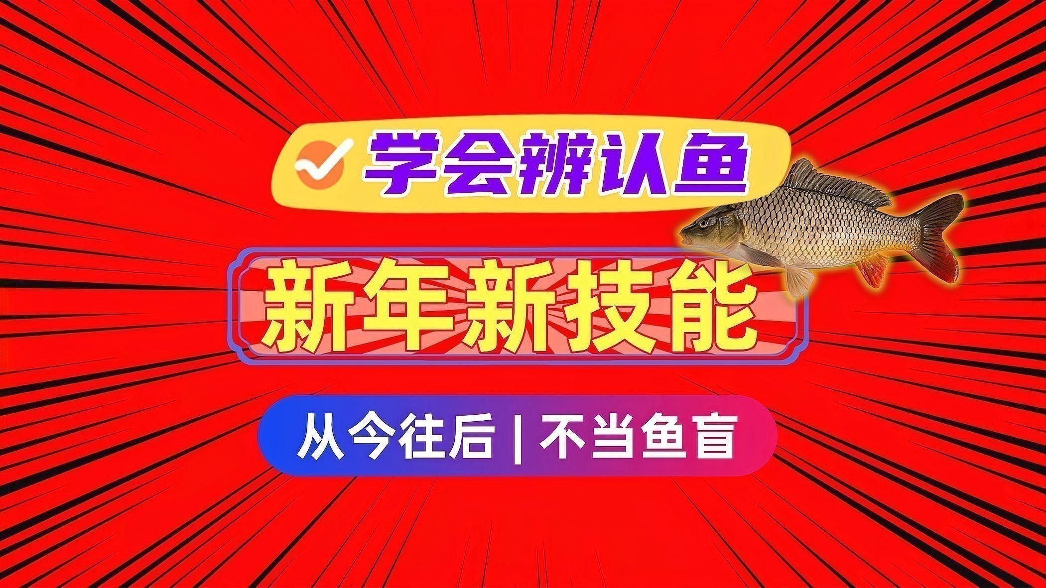 能詳細介紹一下這些魚的特點嗎？