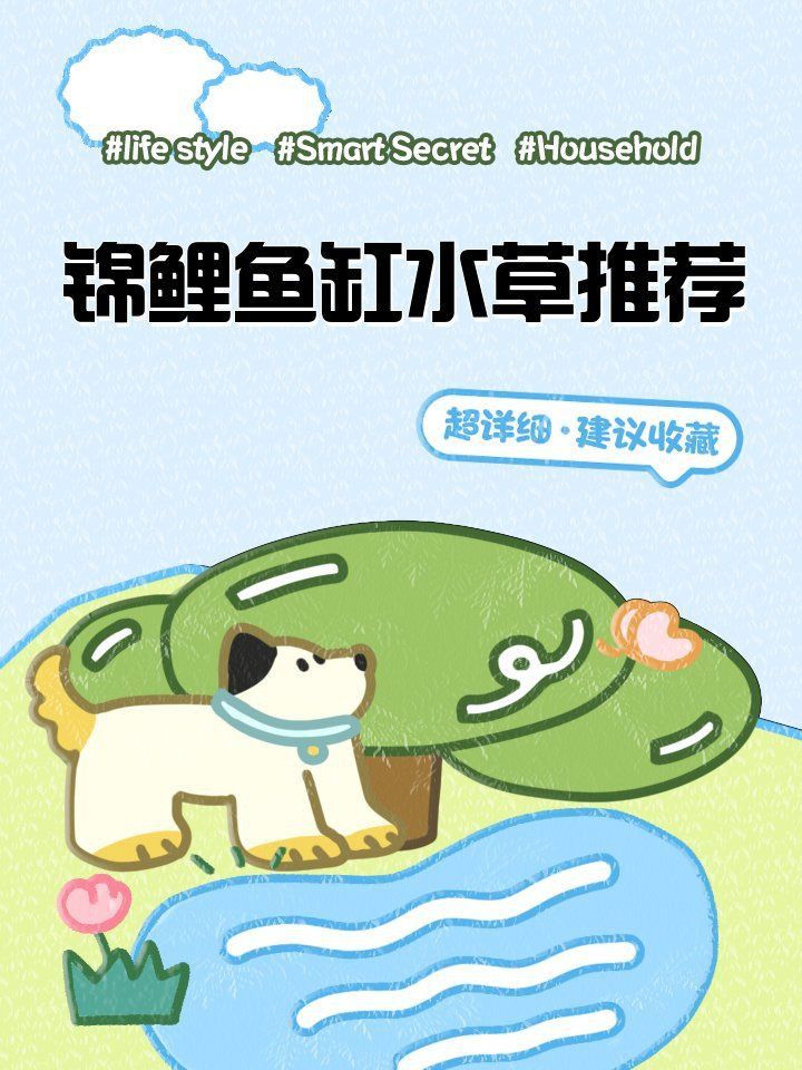 錦鯉魚缸可以養水草嗎