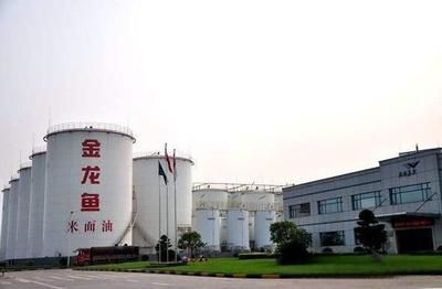 金龍魚中國工廠（金龍魚中國工廠——金龍魚中國工廠）