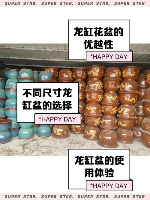 如何科學檢測七尺龍缸的真偽？
