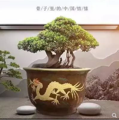 如何科學檢測七尺龍缸的真偽？
