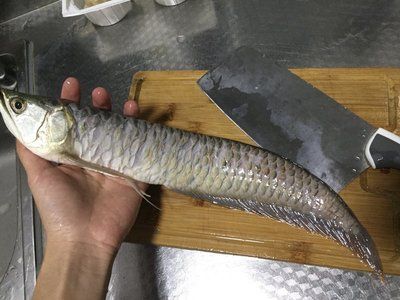 捆龍魚線質(zhì)量怎么樣：捆龍魚線與競品對比評測,