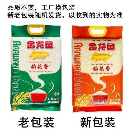 金龍魚稻花香10kg圖片 龍魚百科 第4張 金龍魚稻花香10kg圖片 金龍魚稻花香10kg圖片 龍魚百科 第4張