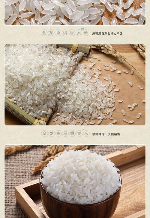 金龍魚稻花香10kg圖片 龍魚百科 第8張 金龍魚稻花香10kg圖片 金龍魚稻花香10kg圖片 龍魚百科 第8張