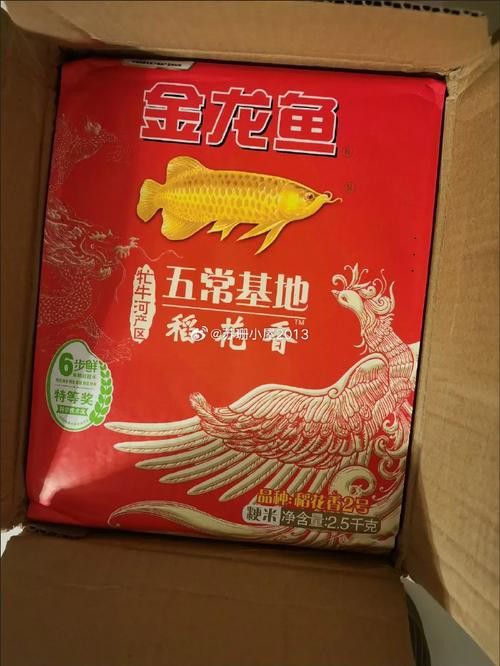 金龍魚稻花香10kg圖片 龍魚百科 第16張 金龍魚稻花香10kg圖片 金龍魚稻花香10kg圖片 龍魚百科 第16張
