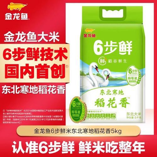 金龍魚稻花香10kg圖片 龍魚百科 第14張 金龍魚稻花香10kg圖片 金龍魚稻花香10kg圖片 龍魚百科 第14張