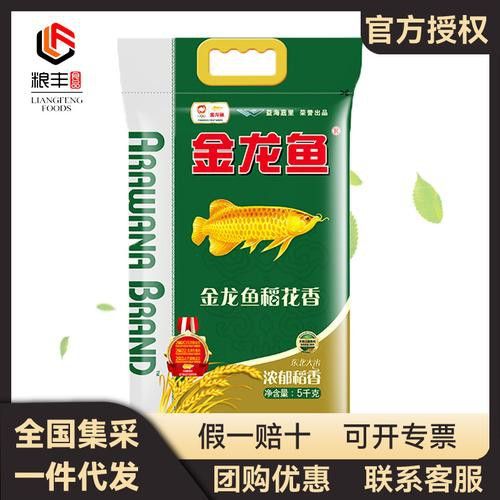 金龍魚稻花香10kg圖片 龍魚百科 第15張 金龍魚稻花香10kg圖片 金龍魚稻花香10kg圖片 龍魚百科 第15張