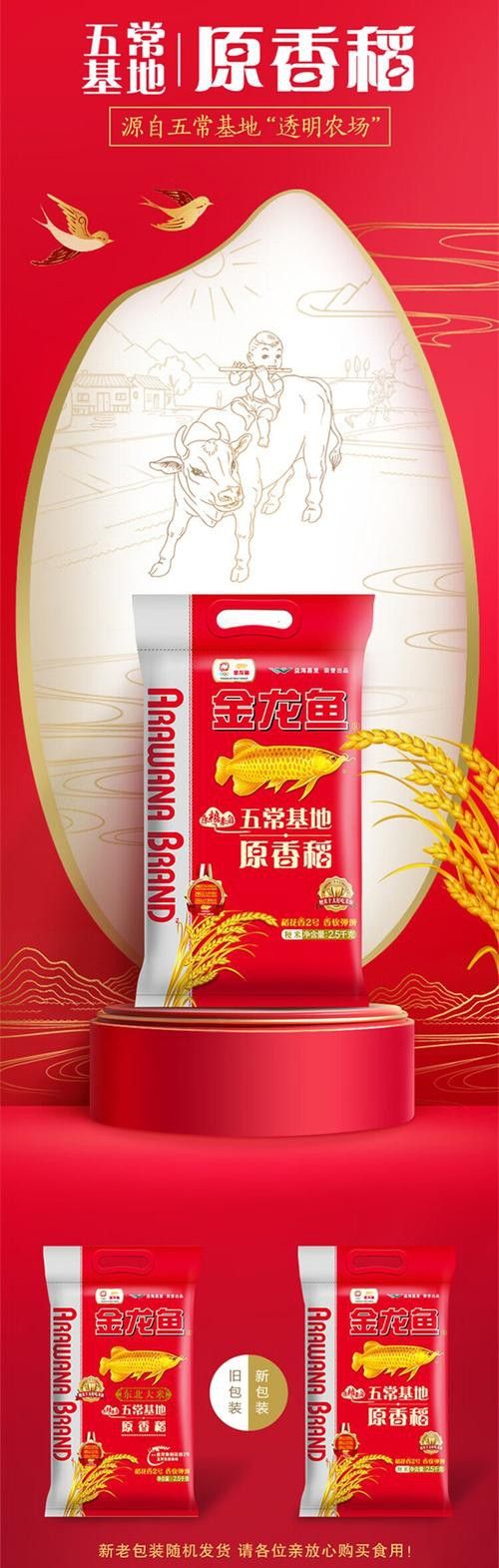 金龍魚稻花香10kg圖片 龍魚百科 第22張 金龍魚稻花香10kg圖片 金龍魚稻花香10kg圖片 龍魚百科 第22張
