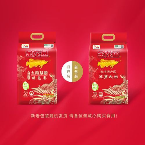 金龍魚稻花香10kg圖片 龍魚百科 第25張 金龍魚稻花香10kg圖片 金龍魚稻花香10kg圖片 龍魚百科 第25張