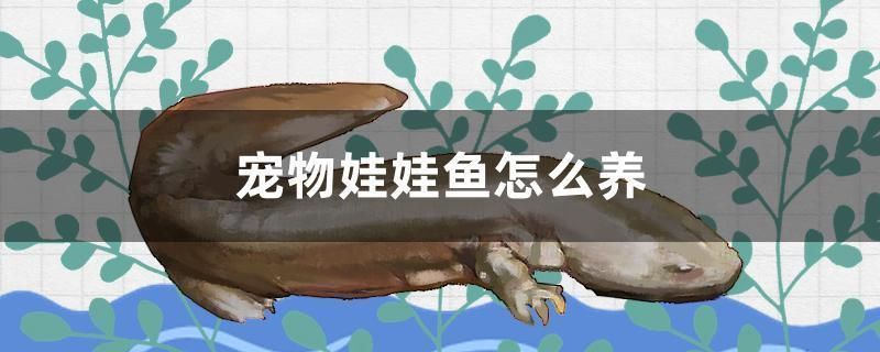 龍魚配飛鳳風水局：風水學中龍魚與飛鳳的寓意