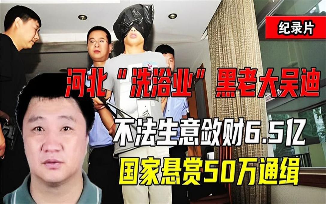 金龍魚石家莊倉儲部負責(zé)人吳迪
