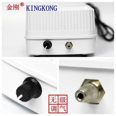 龍魚缸氧氣泵用不用一直開著（夏季龍魚缸氧氣需求增加嗎，如何判斷龍魚是否缺氧）