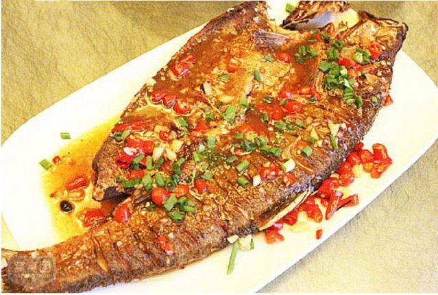 龍魚趴缸甩頭怎么回事：龍魚趴缸甩頭的原因分析與應(yīng)對措施 龍魚趴缸甩頭怎么回事：龍魚趴缸甩頭的原因分析與應(yīng)對措施 龍魚百科 第2張