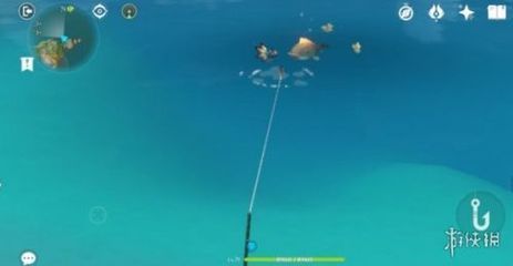 原神龍魚觀賞魚概率（《原神》怎么飼養(yǎng)觀賞魚）