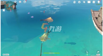 原神龍魚觀賞魚概率（《原神》怎么飼養觀賞魚）