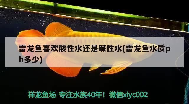 淡水雷龍魚可以養嗎有毒嗎，淡水雷龍魚可以養嗎