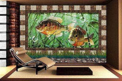 銀版魚與銀龍魚區別：銀版魚與銀龍魚在外觀、生活習性和生活習性和飼養要求