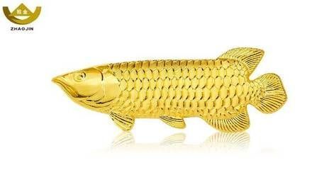 純金龍魚多少錢金龍魚價(jià)格受多種因素影響金龍魚價(jià)格：純金金龍魚多少錢一只 純金龍魚多少錢金龍魚價(jià)格受多種因素影響金龍魚價(jià)格：純金金龍魚多少錢一只 龍魚百科 第1張
