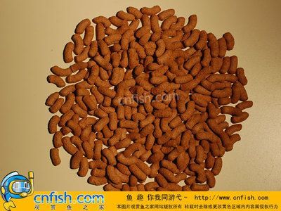 紅龍魚的營(yíng)養(yǎng)價(jià)值有哪些（紅龍魚的功效與作用與功效與作用紅龍魚的作用與作用） 紅龍魚的營(yíng)養(yǎng)價(jià)值有哪些（紅龍魚的功效與作用與功效與作用紅龍魚的作用與作用） 龍魚百科 第5張