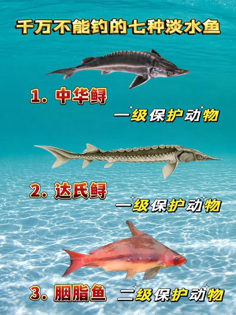中華鱘和鱘龍魚有什么區(qū)別？