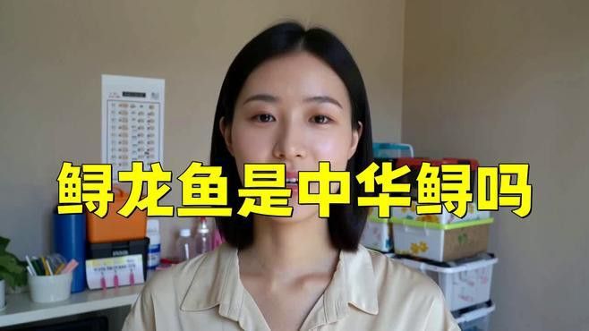 中華鱘和鱘龍魚有什么區(qū)別？