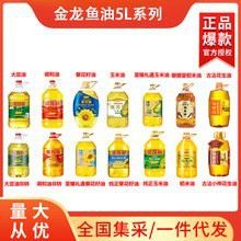 金龍魚多少錢一升