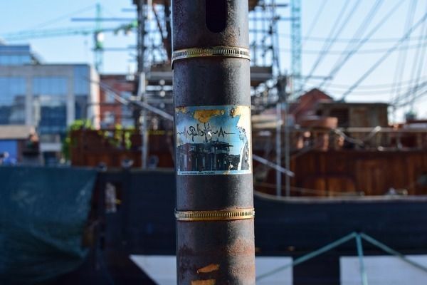 金龍魚吃框過程（如何通過飼養延緩金龍魚吃框過程中的色彩變化）