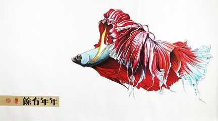龍魚掛畫寓意：風水龍魚擺設，龍魚掛畫在商業場所的作用