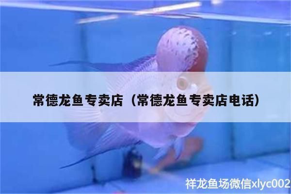 龍魚批發市場地址電話號碼是多少：龍魚批發市場價格對比查詢,龍魚批發市場配送范圍