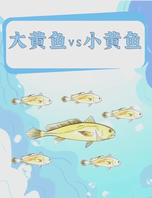 黃花恐龍魚和大花恐龍魚的區別圖片