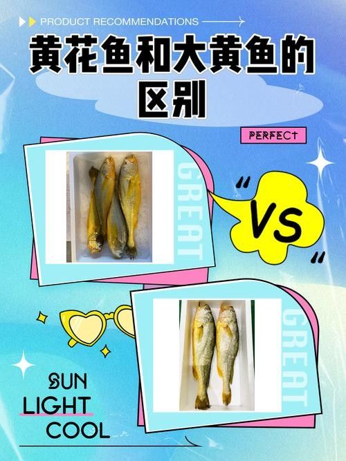 黃花恐龍魚和大花恐龍魚的區別圖片