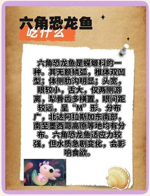 黃花恐龍魚和大花恐龍魚的區別圖片
