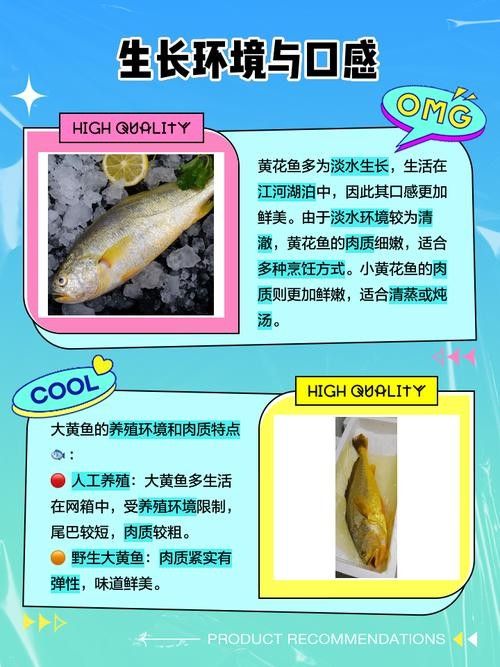 黃花恐龍魚和大花恐龍魚的區別圖片