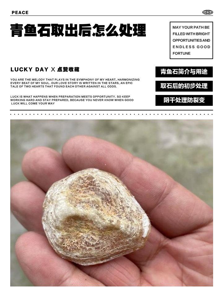 如何保養(yǎng)龍頭魚吊墜？ 如何保養(yǎng)龍頭魚吊墜？ 龍魚百科 第14張