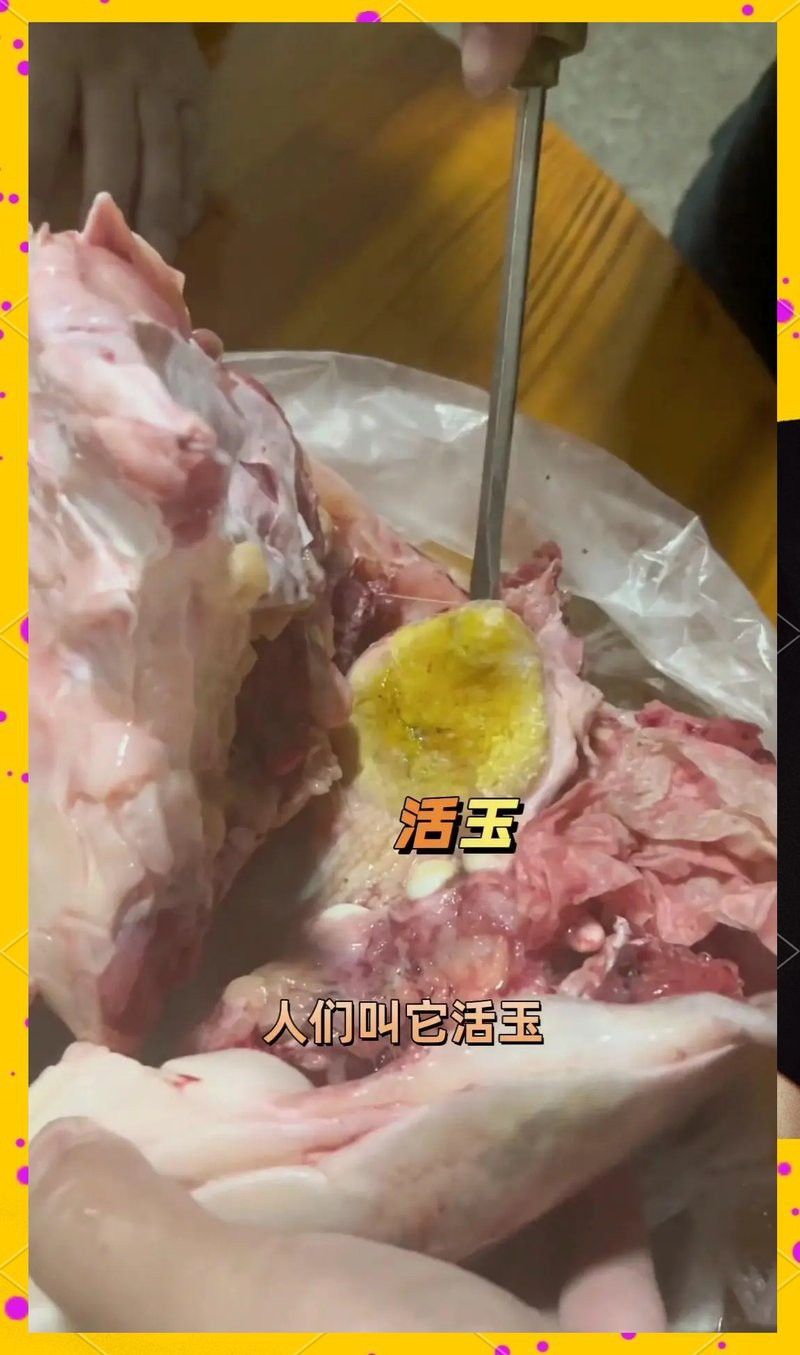 如何保養(yǎng)龍頭魚吊墜？ 如何保養(yǎng)龍頭魚吊墜？ 龍魚百科 第15張