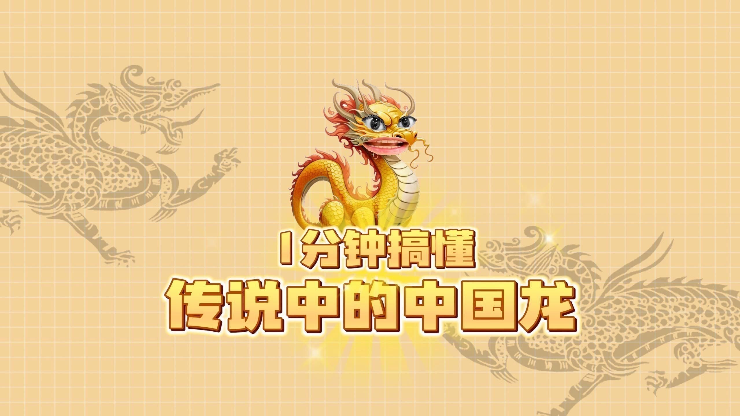 龍的等級排列順序