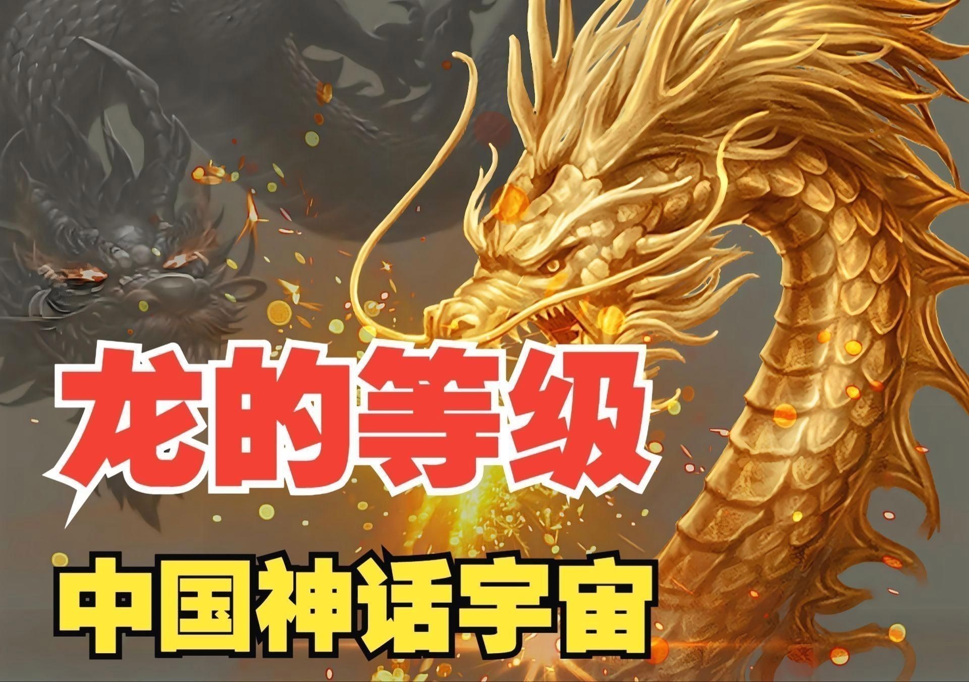 龍的等級排列順序