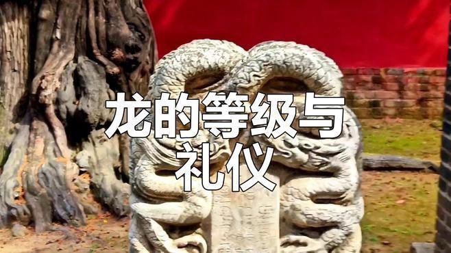 龍的等級排列順序