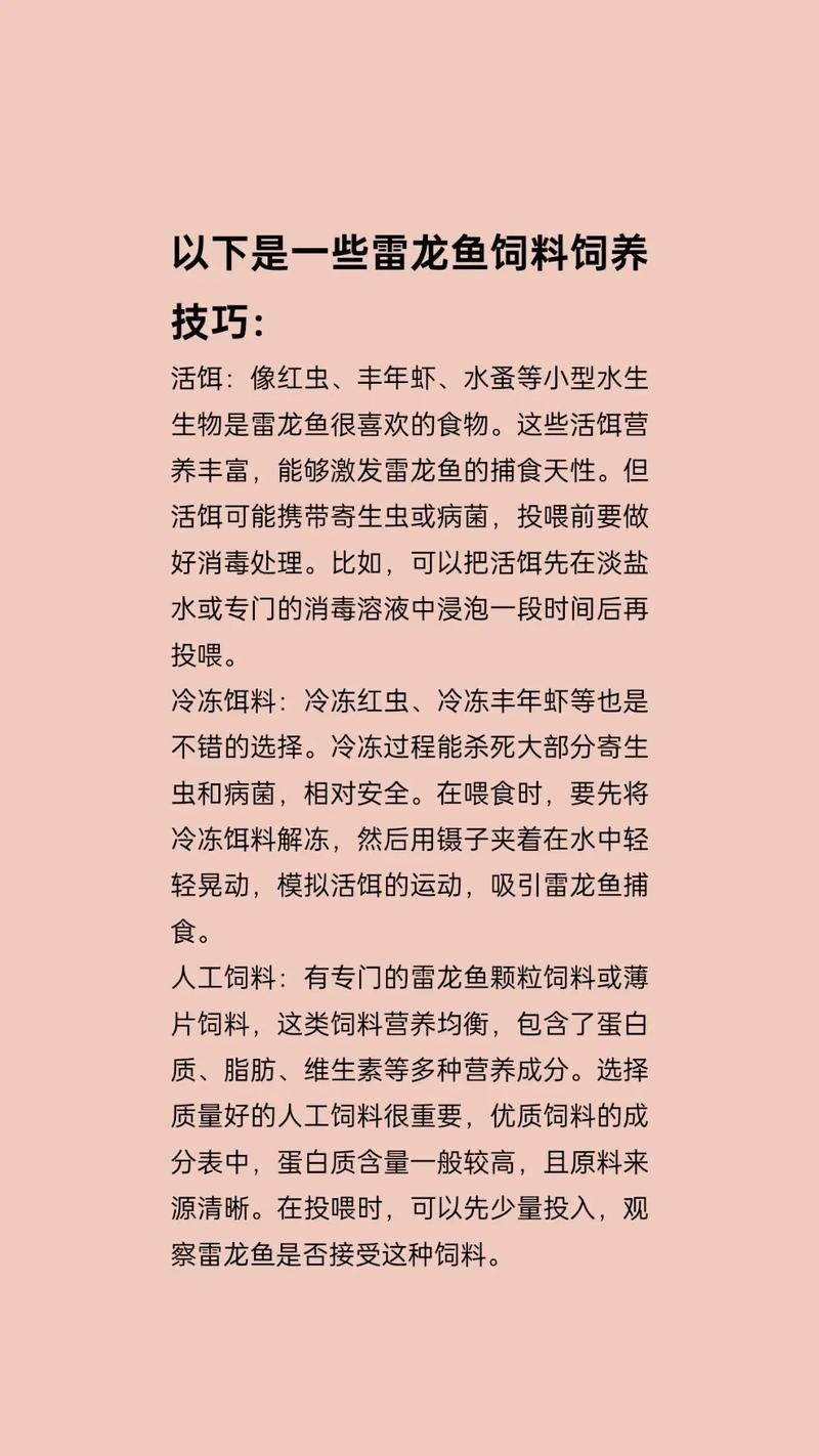 雷龍魚吃顆粒飼料