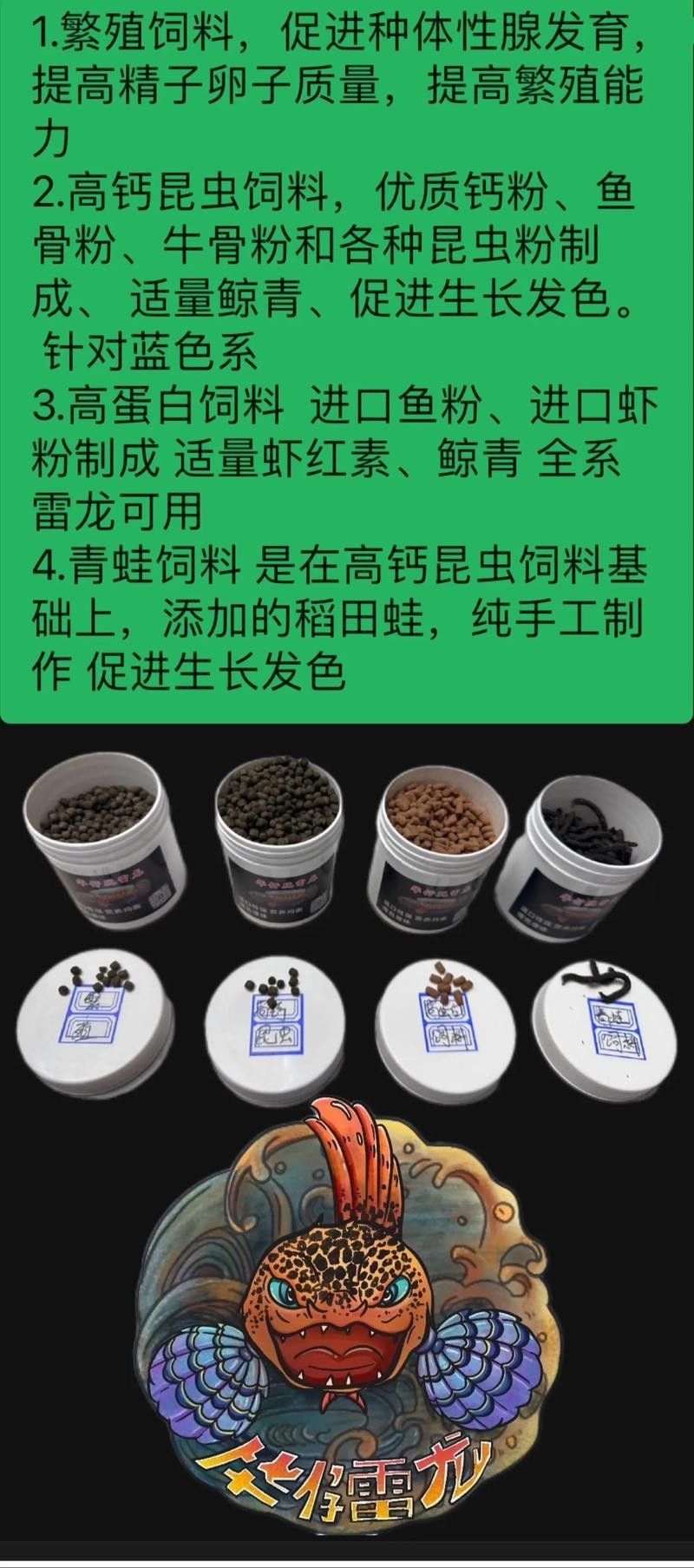 雷龍魚吃顆粒飼料