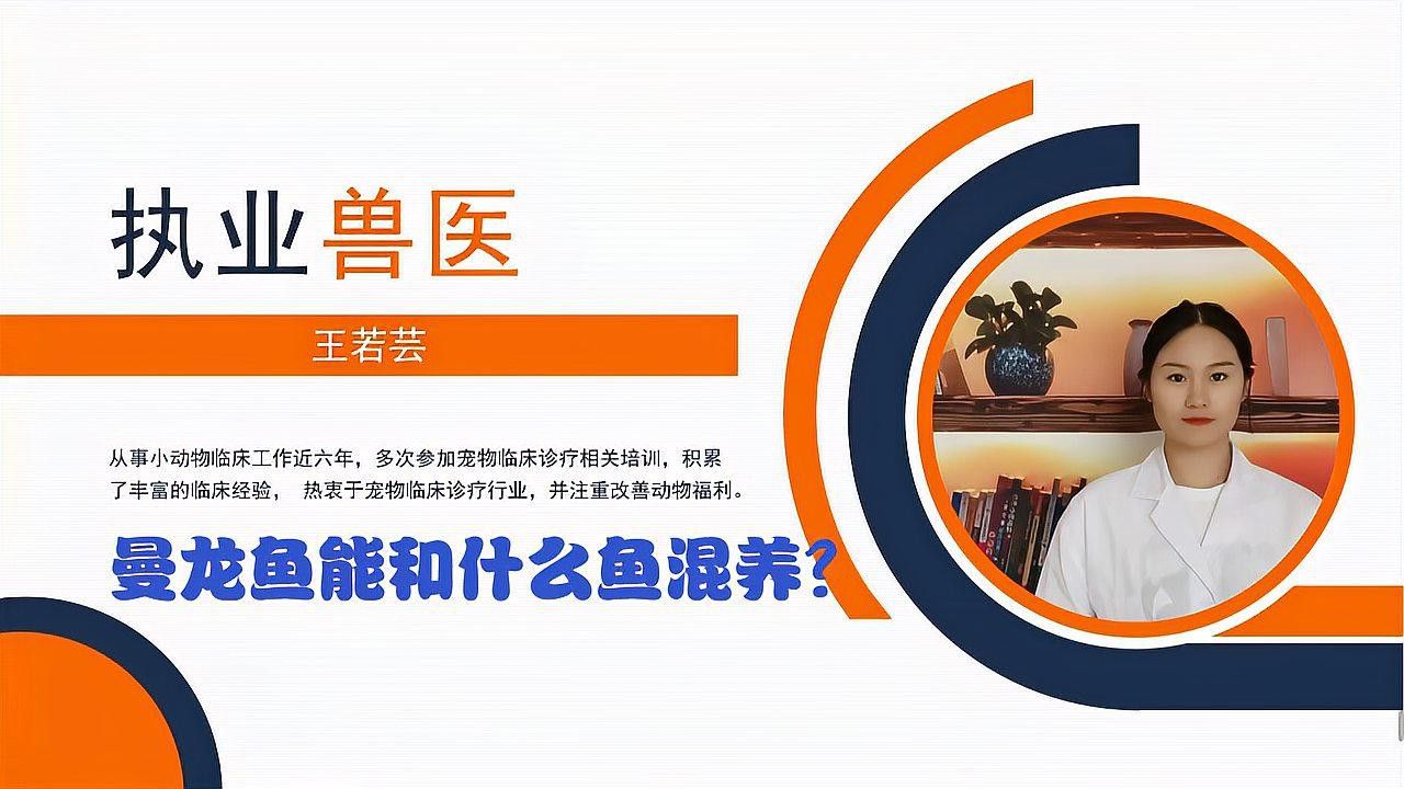 給我推薦一些曼龍魚的品種