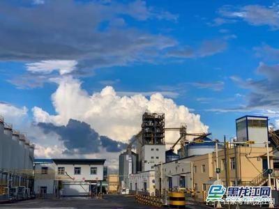 金龍魚黑龍江有分廠嗎：金龍魚在黑龍江省設有多個分廠及其相關信息