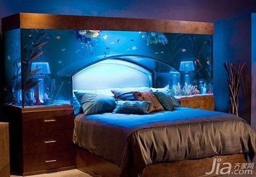 家庭魚缸的最佳擺放位置，如何選擇適合家庭的魚缸魚缸與家居布局的風水關系不同方位魚缸擺放的效果 家庭魚缸的最佳擺放位置，如何選擇適合家庭的魚缸魚缸與家居布局的風水關系不同方位魚缸擺放的效果 龍魚百科 第6張