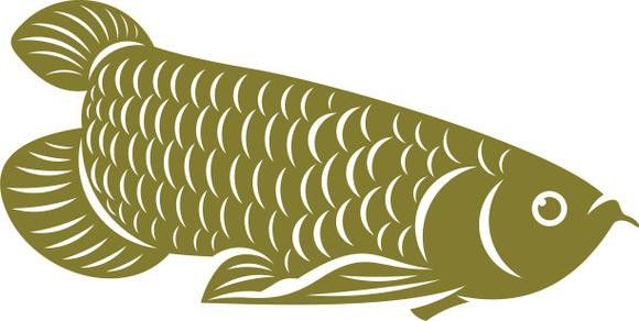 福龍龍魚圖片高清壁紙大全