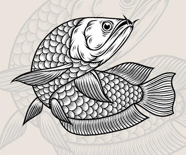 福龍龍魚圖片高清壁紙大全