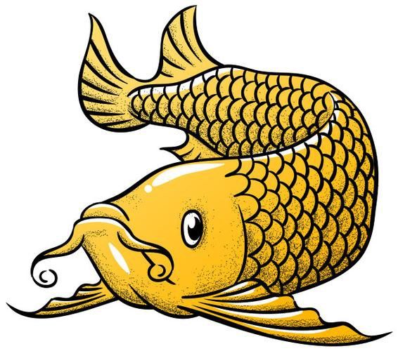 福龍龍魚圖片高清壁紙大全